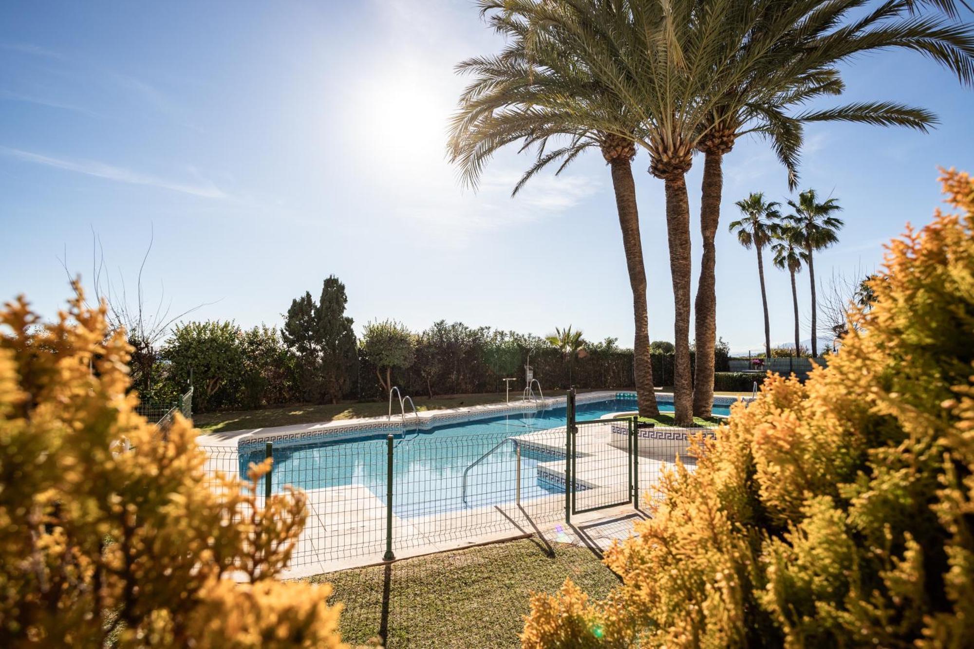 2 Estudios En La Romana Playa, Uno Con Vista Parcial Mar Y Otro Vista A La Piscina Apartamento *